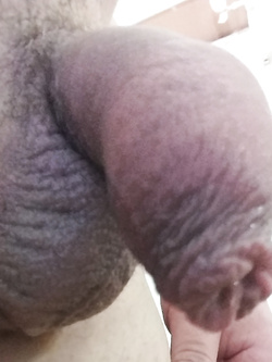 Scoprirmi in una notte calda , a riposo (show my dick)