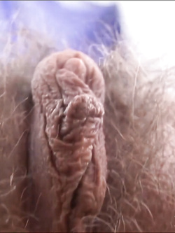 La figa come natura crea