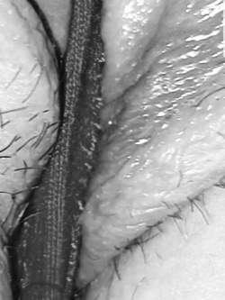 Un voto alla donna delle pulizie