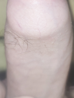 Sono voglioso di cazzo è figa