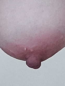 Vi faccio vedere bene i miei capezzoli