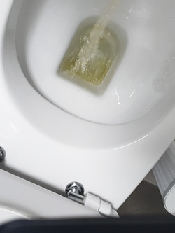 Veneto Treviso solo donne