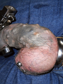 cazzo pene chiuso a chiave in castità