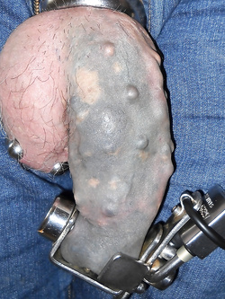 cazzo pene chiuso a chiave in castità