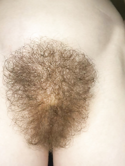 Sempre lei la pelosa