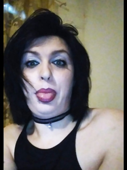 MIKAELA DA CERVIA - VACCA MOLDAVA