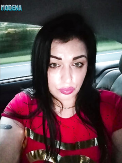 MIKAELA DA CERVIA - VACCA MOLDAVA