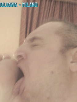 MIKAELA DA CERVIA - VACCA MOLDAVA