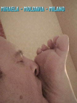 MIKAELA DA CERVIA - VACCA MOLDAVA