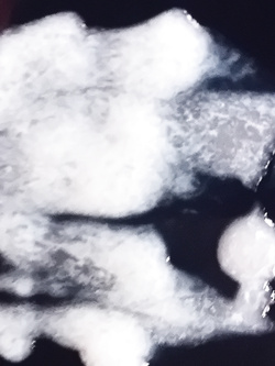 IL MIO CAZZO Parte 7