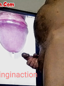 Tributi vari ai miei amici amaporn