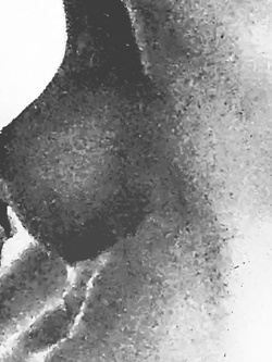 Come lo succhia mia moglie