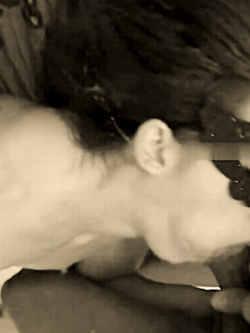 CRISTINA -  TROIA RUMENA DI BOLOGNA