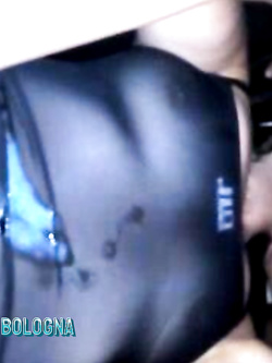 CRISTINA -  TROIA RUMENA DI BOLOGNA