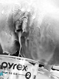 CRISTINA -  TROIA RUMENA DI BOLOGNA