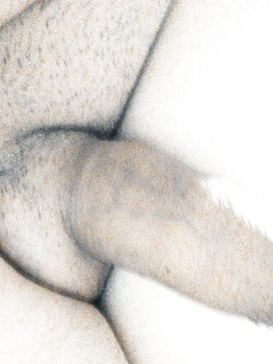 Esibzionista :- piccoolo e timido