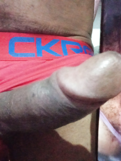 Delícia de figona gustosa