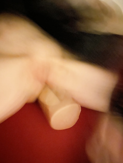 Petra's Spalte / La rubrica di Petra