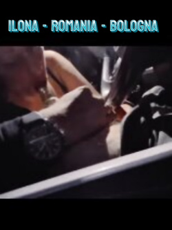 ILONA - LE PERFORMANCE DI UNA SUPER VACCA