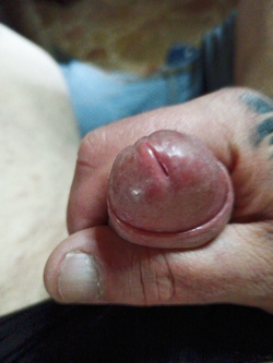 A, 360 gradiuccello and cook