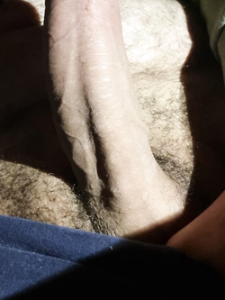 Il mio uccello a 360°