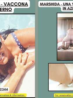 MARSHIDA LA VACCA ALBANESE DI SALERNO