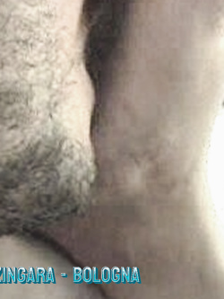 SEQUEL DI VERE MIGNOTTE IN AZIONE