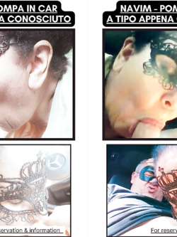 FUCSJA VACCA DEL MAROCCO