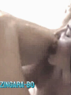 ZINGARE TROIE