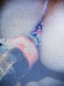 Mone la cagna pugliese