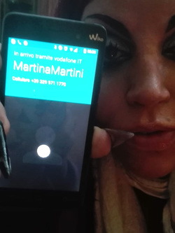 METTI IL MIO NUMERO SUI SITI COSI PRENDO CAZZI