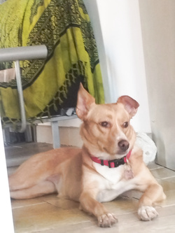 La mia troia mostra il culo