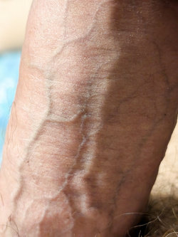 Cazzone gigante venoso