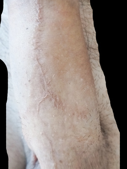 Si lavora e si fatica...