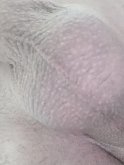 Foto varie Ottobre 2025