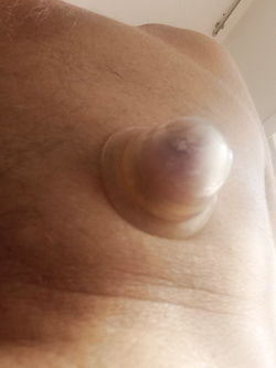 I capezzoli di Pamela trav