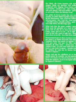 UN PO DI SEGHE CON IL VINTAGE