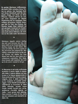 UN PO DI SEGHE CON IL VINTAGE