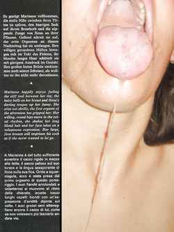 UN PO DI SEGHE CON IL VINTAGE