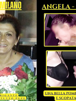 SEGHE CON RIV MODERNE