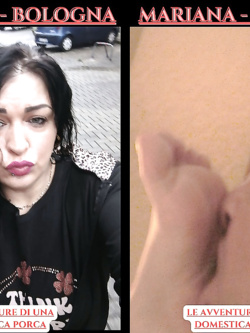 SEGHE CON RIV MODERNE