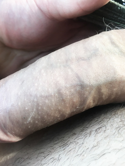 Il mio arnese Parte 3