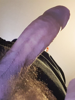 Voglio  cagne  arrapate  di pesce