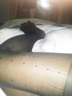 Ancora io intimo sexy