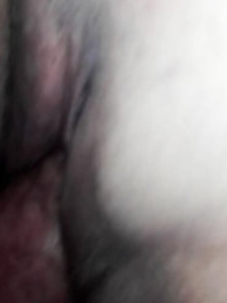 Cagna svuotapalle Parte 2