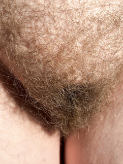 Primi piani della maiala