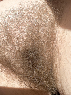 Primi piani della maiala