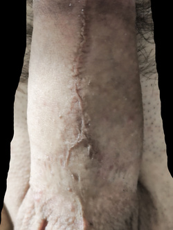 Le vacanze son finite