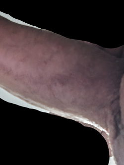 Le vacanze son finite