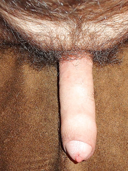 GALLERIA PER GLI AMANTI DEL PREPUZIO